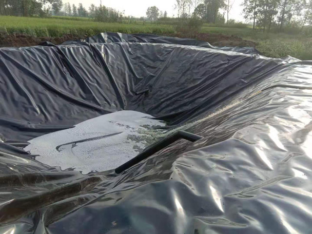 Composite Geomembrane
